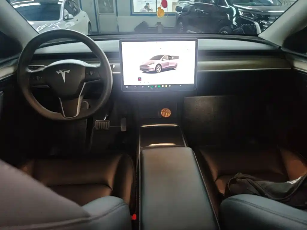 Tesla Model Y — миниатюра 10