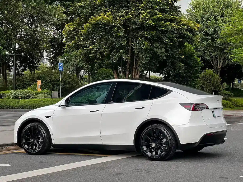 Tesla Model Y — миниатюра 7