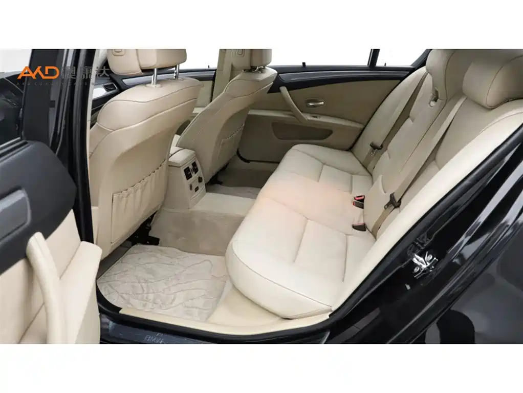 BMW 5 Series 5 2009 520Li Lead