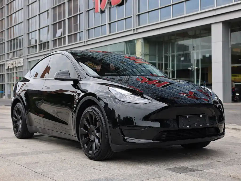 Tesla Model Y — миниатюра 3