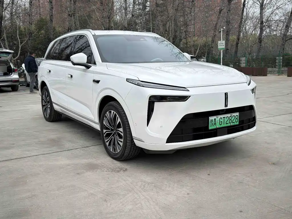 WEI PAI WEI BRAND BLUE MOUNTAIN