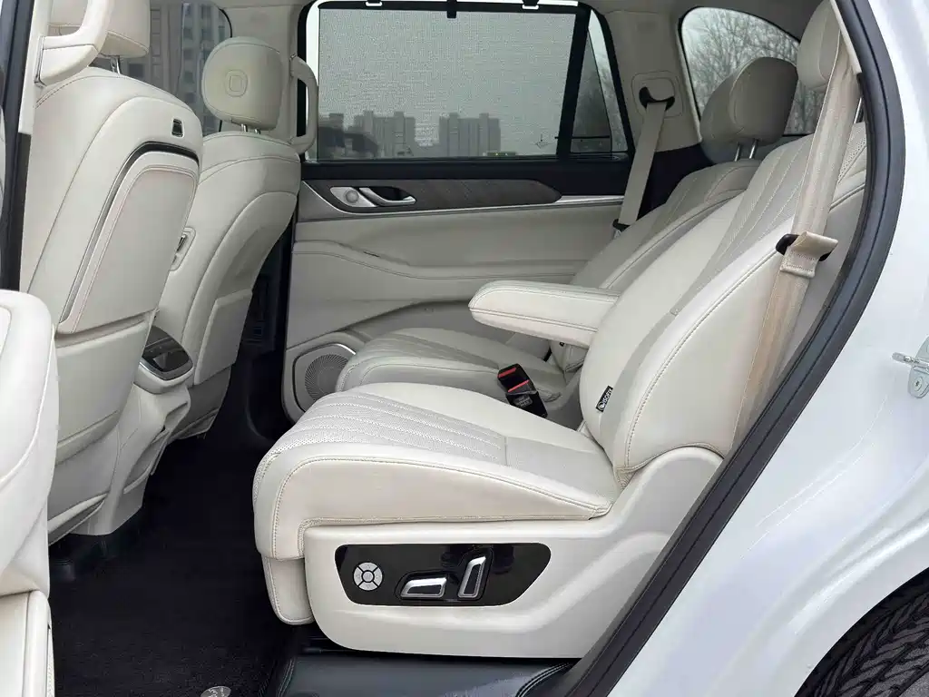 WEI PAI WEI BRAND BLUE MOUNTAIN