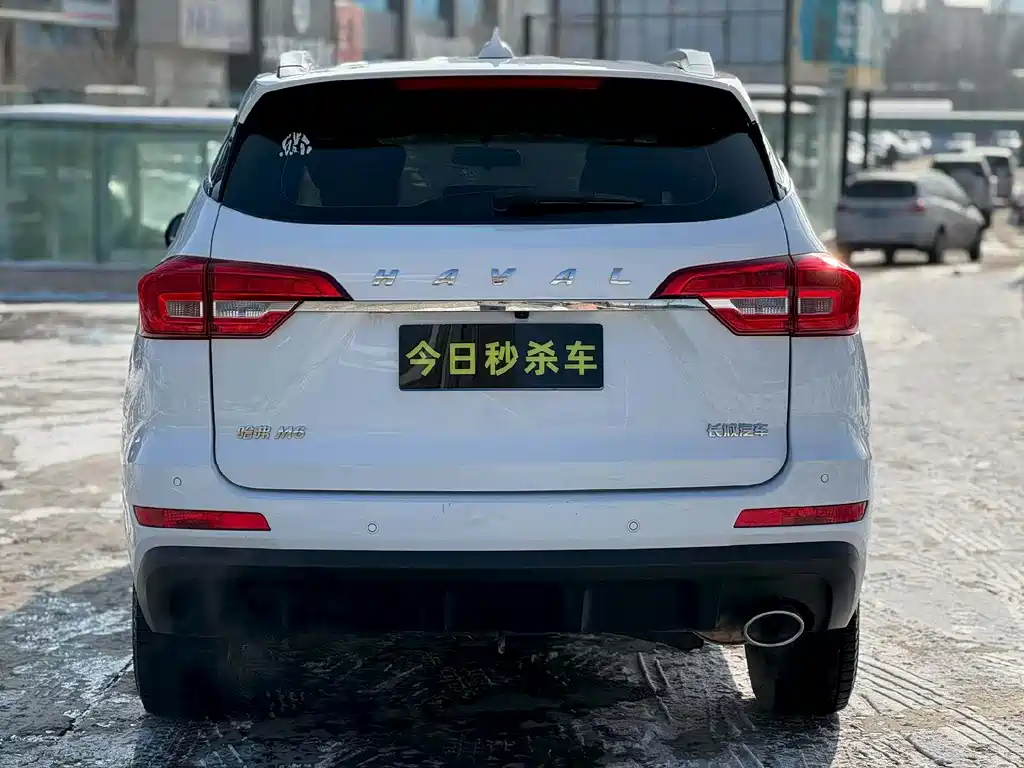 HAVAL M6