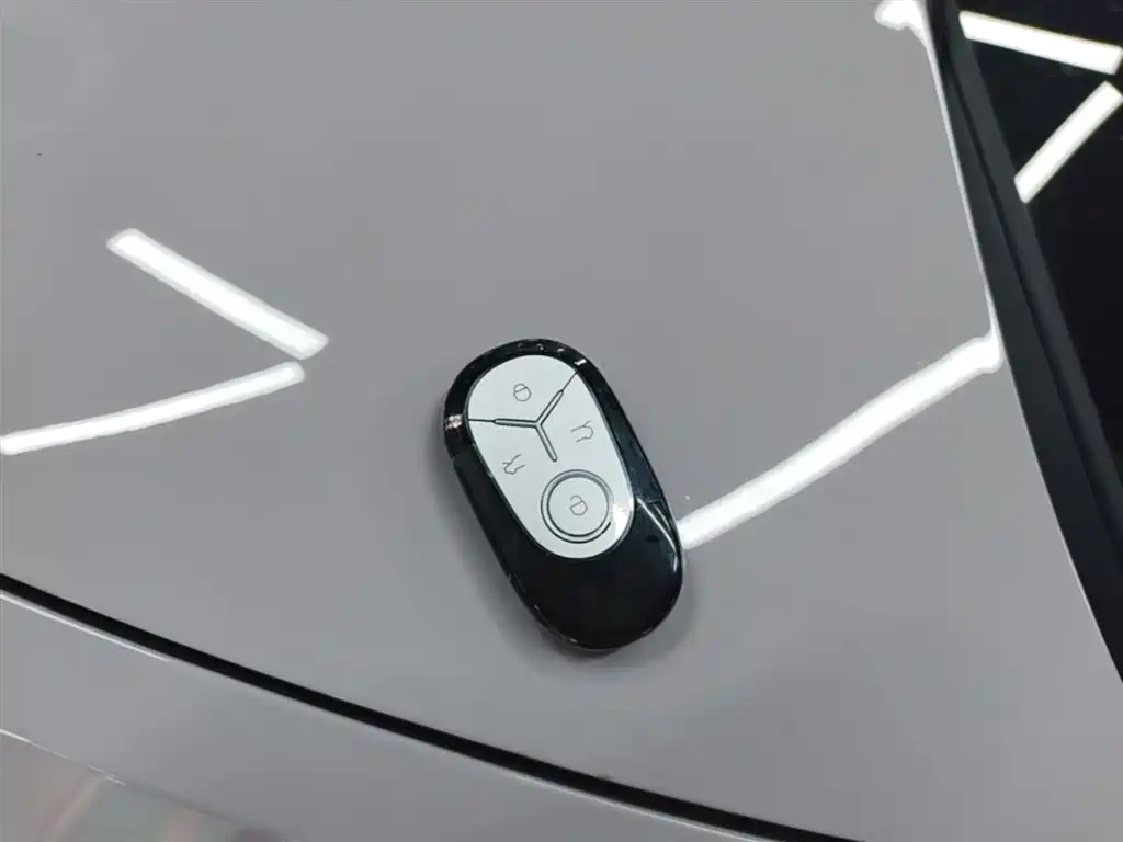 Geely Geome Xingyuan 2026 310km