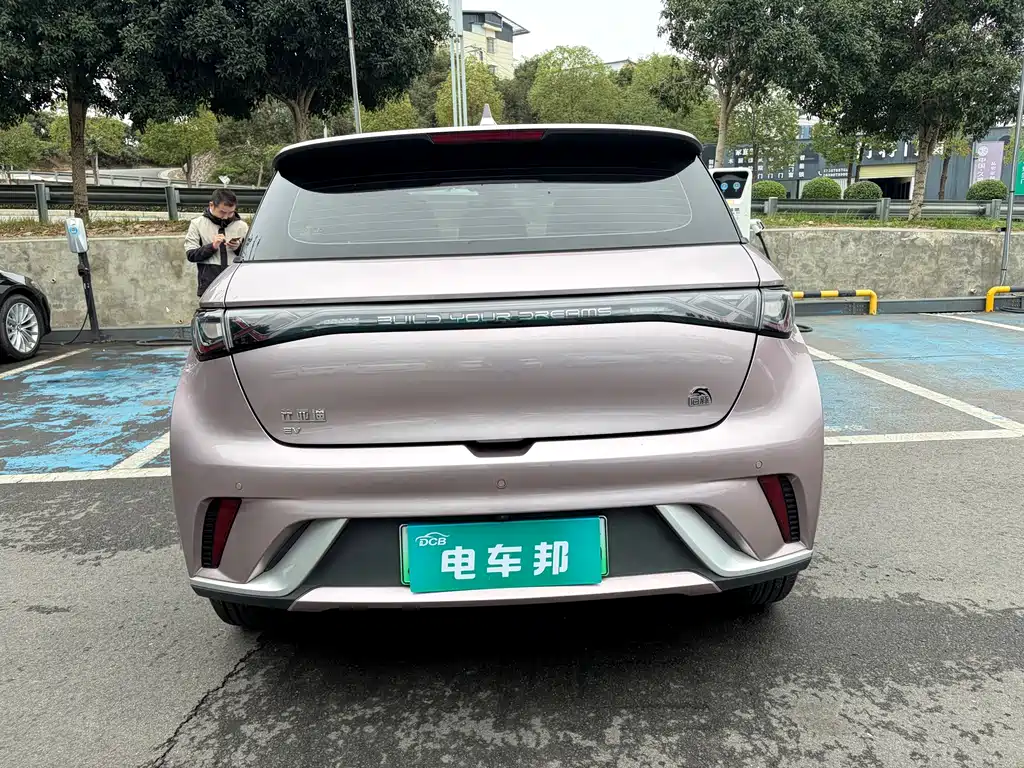 BYD Dolphin — миниатюра 8