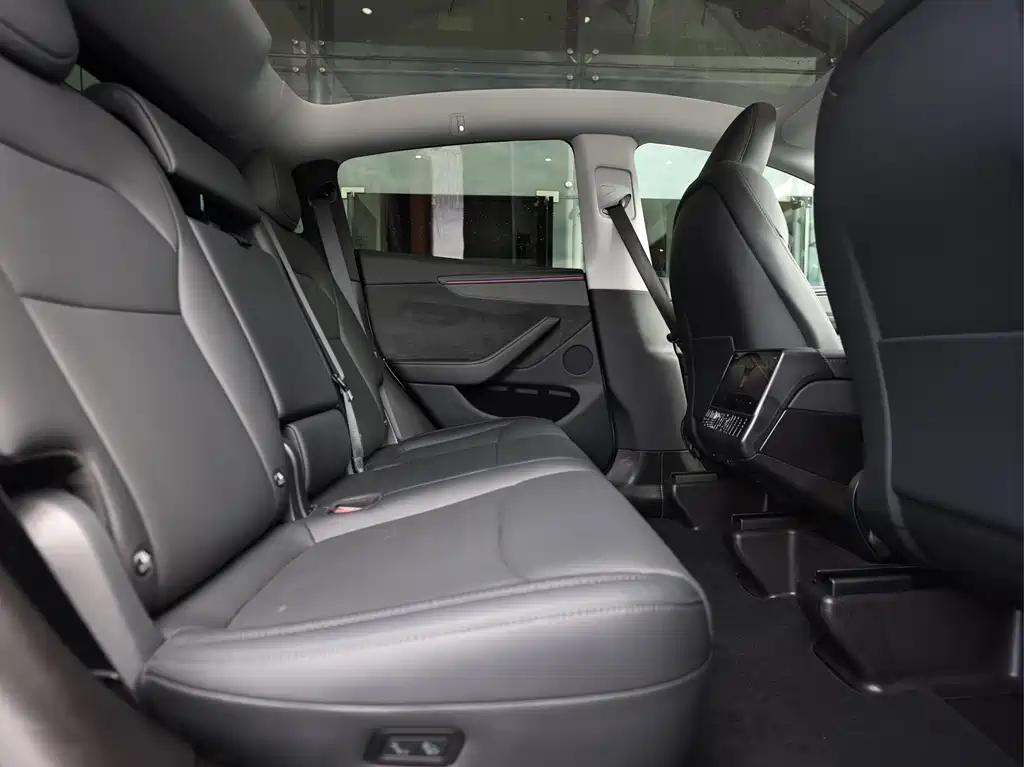 Tesla Model Y — миниатюра 15