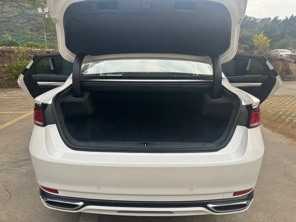 GEELY AUTOMOBILE BORUI