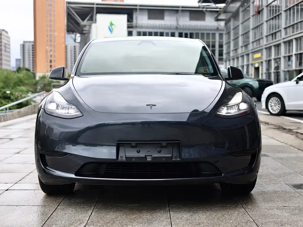 Tesla Model Y — миниатюра 2