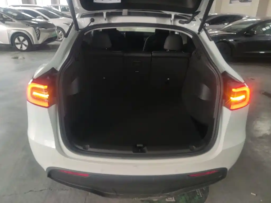 Tesla Model Y — миниатюра 19