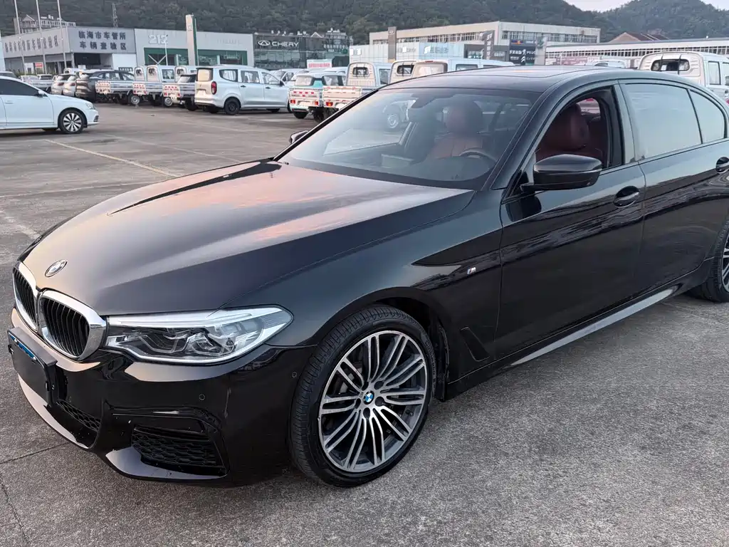 Купить BMW 5 Series