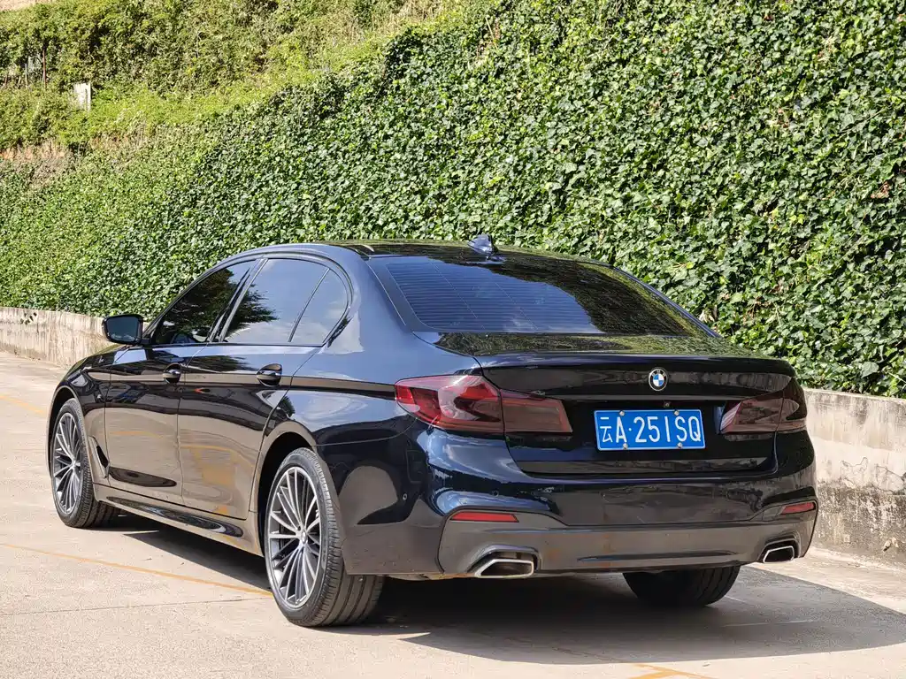 BMW 5 Series — миниатюра 5