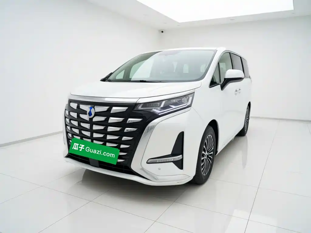 Denza D9