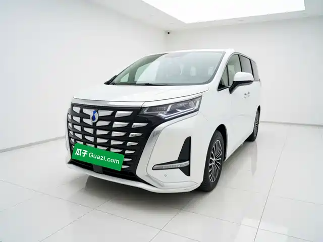 Denza D9
