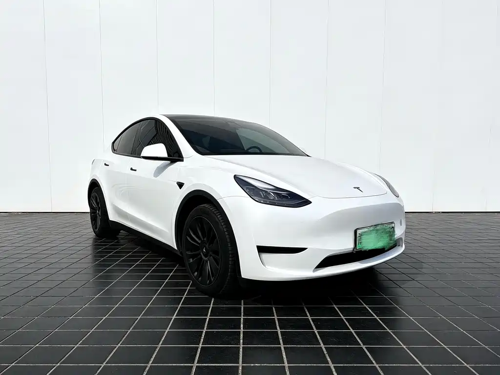 Tesla Model Y — миниатюра 4