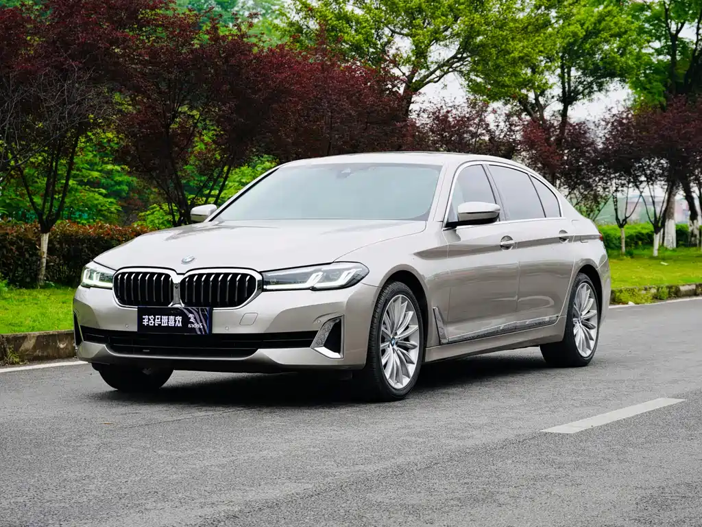 BMW 5 Series 2021