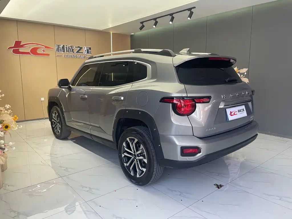Haval Big Dog PLUS — миниатюра 11