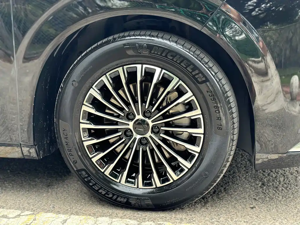 Denza D9 2022 DM-i 1040 Luxury