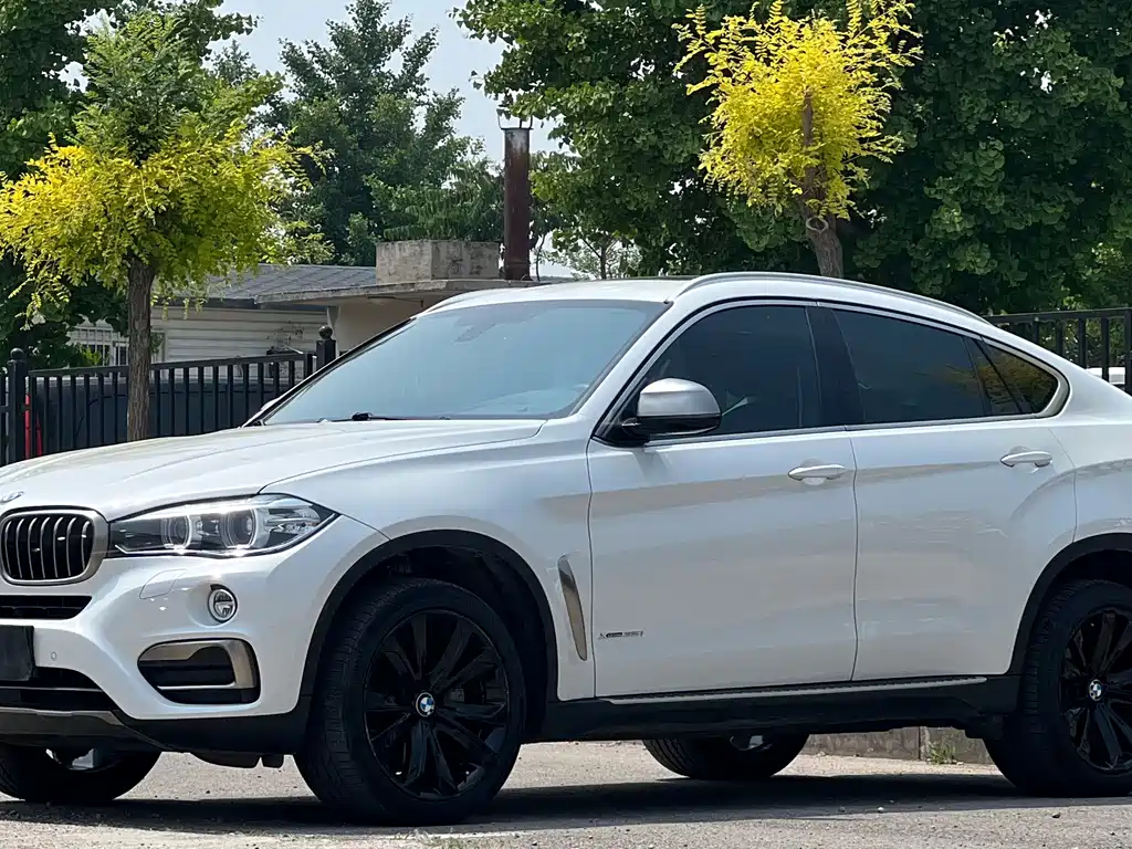 BMW X6 2019