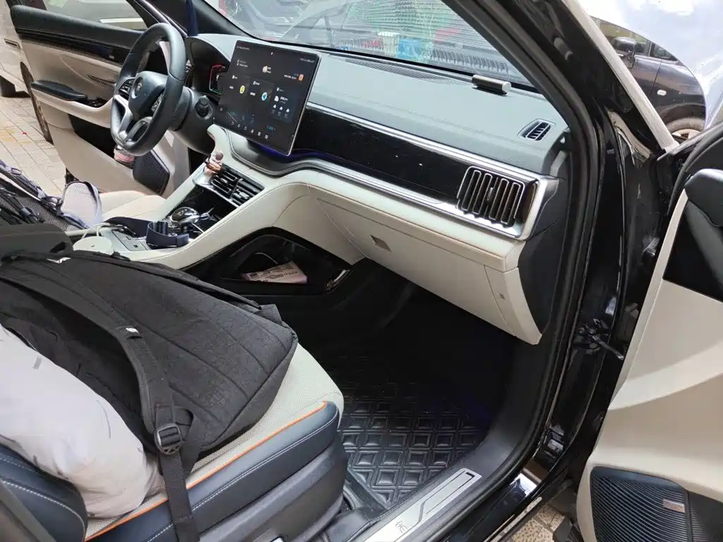 BYD PLUS New Energy — миниатюра 19