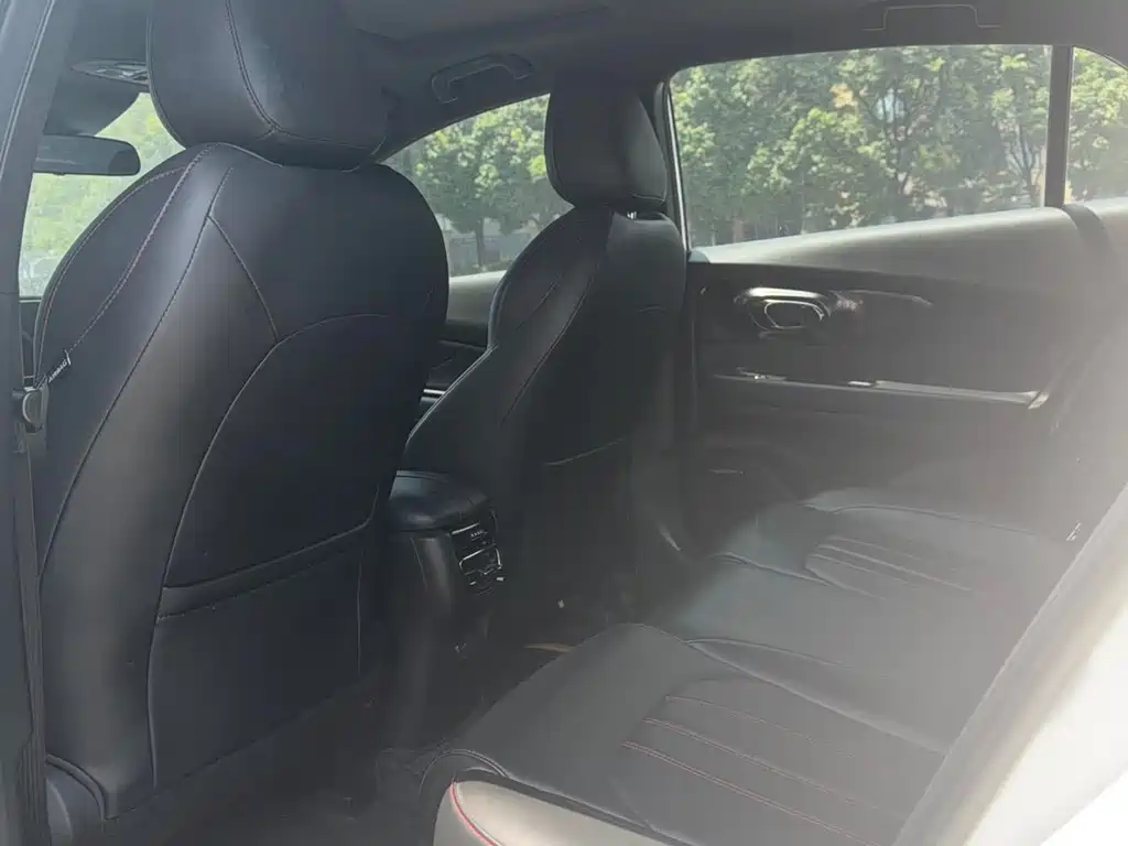 GAC Motor Shadow Leopard — миниатюра 6