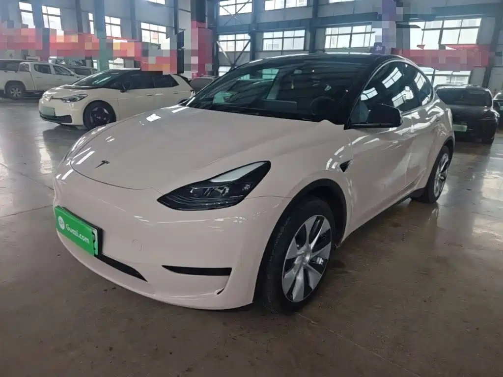 Tesla Model Y — миниатюра 2