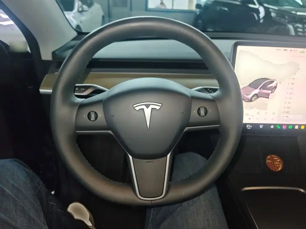 Tesla Model Y — миниатюра 11