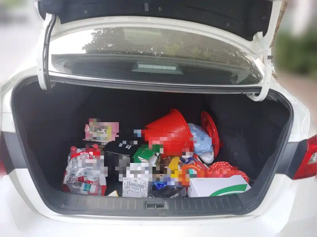 Nissan Sylphy — миниатюра 10