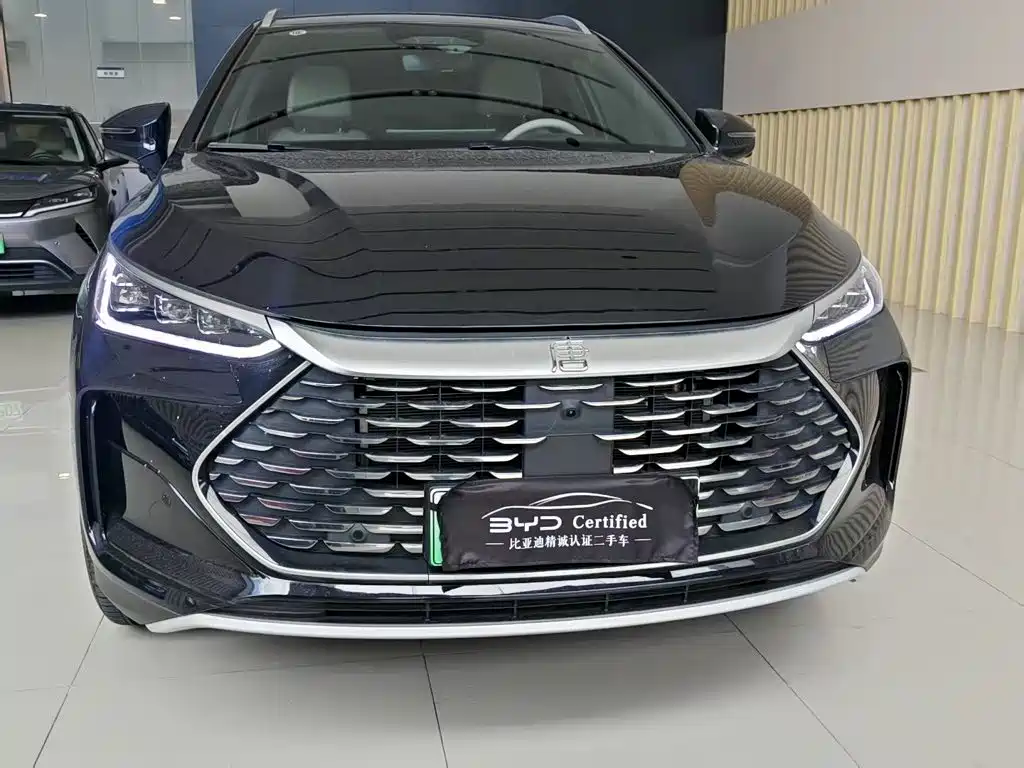 BYD Tang New Energy — миниатюра 2
