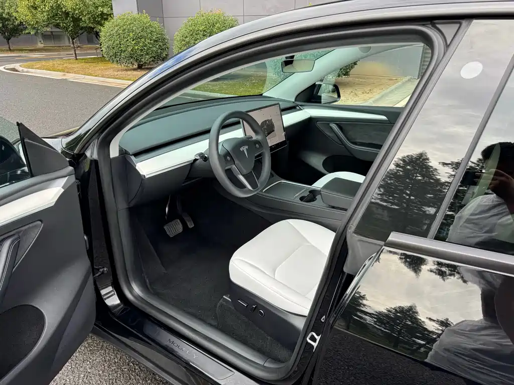 Tesla Model Y — миниатюра 11