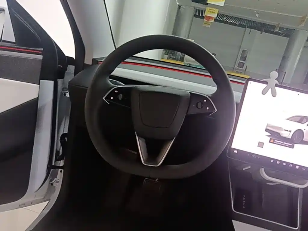 Tesla Model Y — миниатюра 11