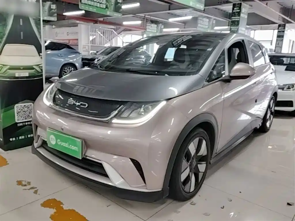 Byd Dolphin 2022
