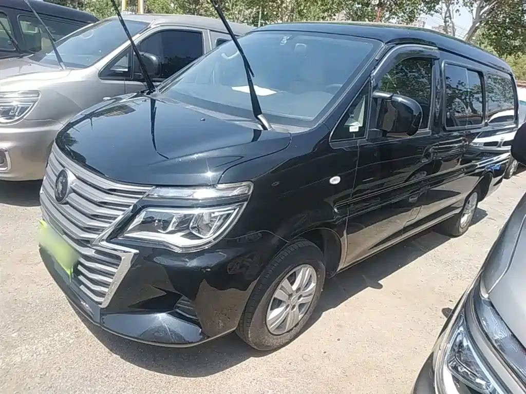 Fengxing Lingzhi 2025