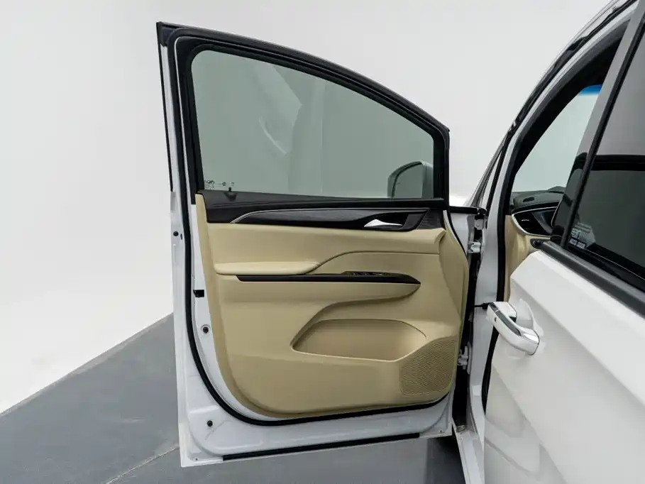 Buick GL8 — миниатюра 16
