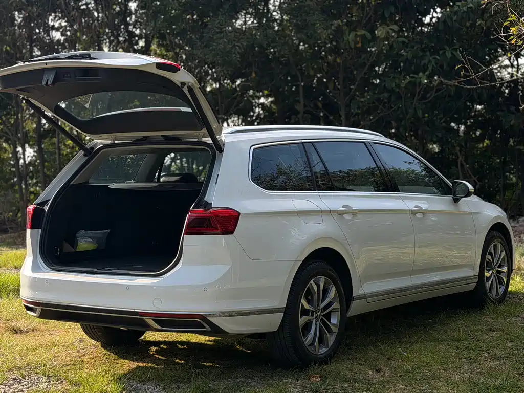 Volkswagen Viloran — миниатюра 9