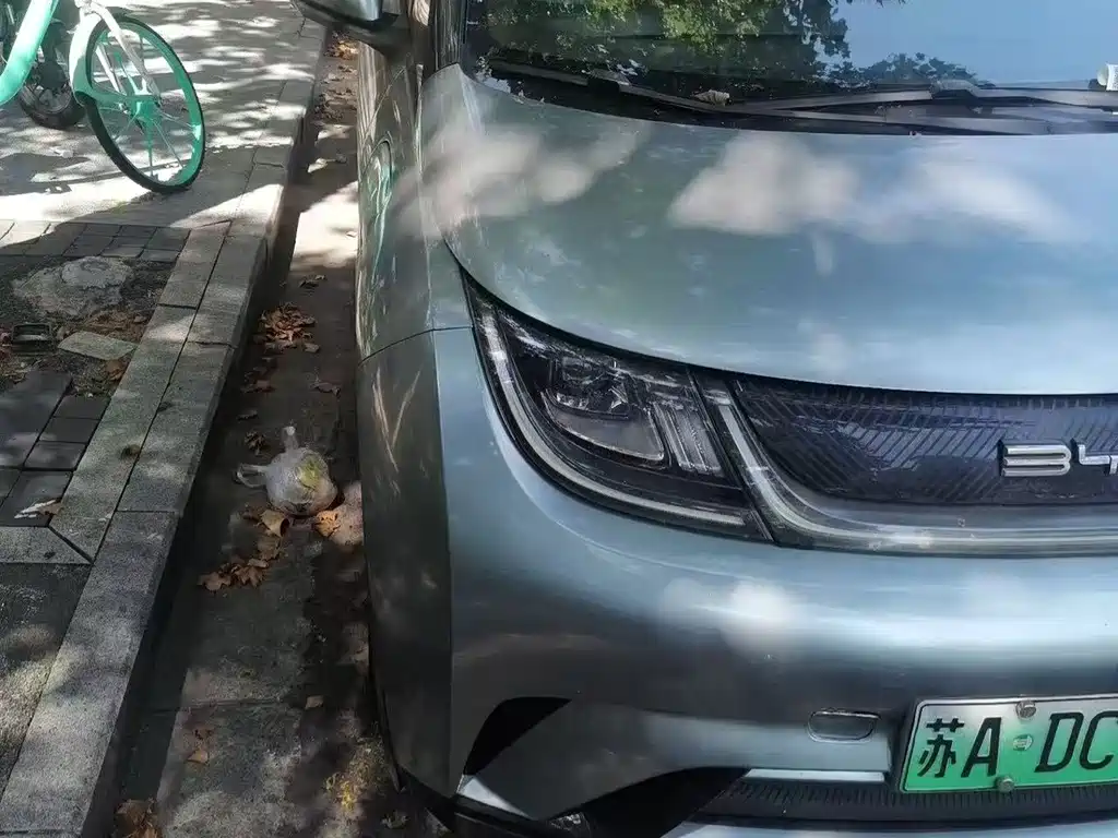 BYD Dolphin — миниатюра 2
