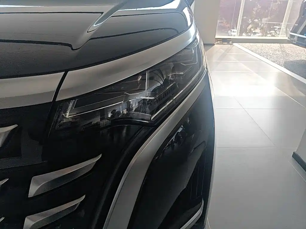 Denza Denza D9 — миниатюра 24