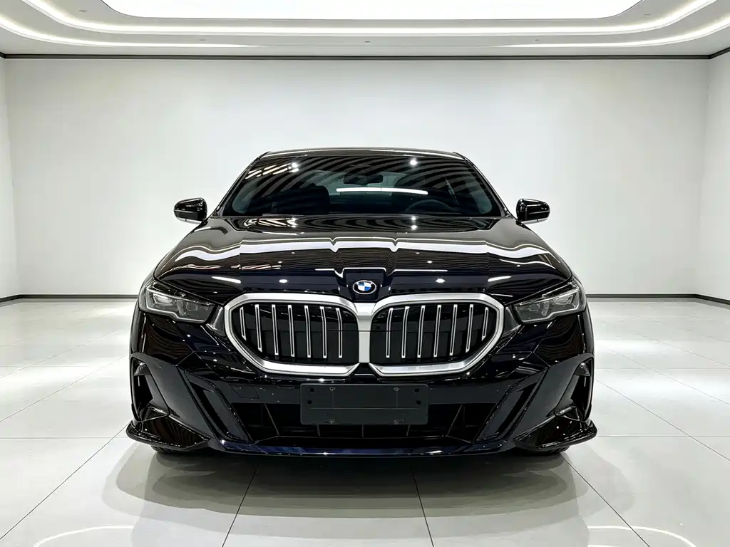 BMW 5 Series — миниатюра 2