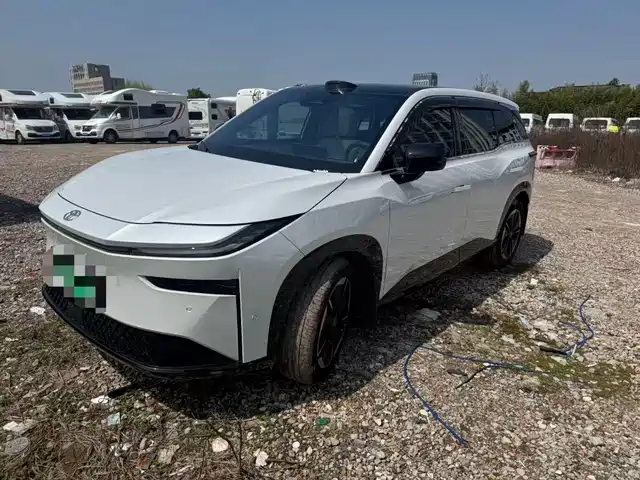 TOYOTA PLATINUM WISDOM 3X 2025