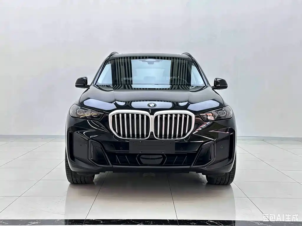 BMW X5 — миниатюра 2