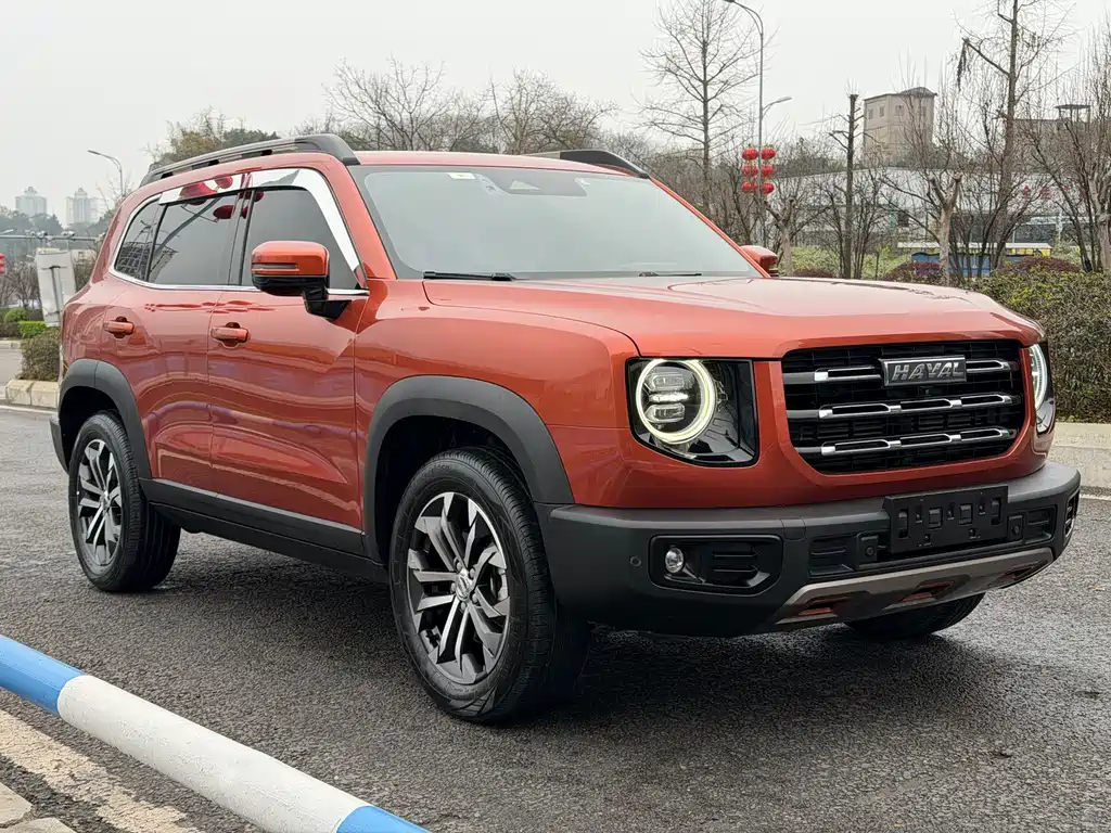 HAVAL BIG DOG