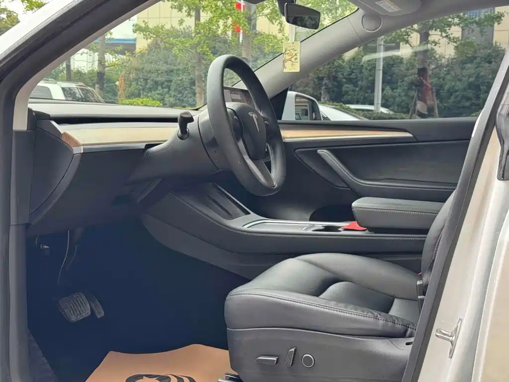 Tesla Model Y — миниатюра 6