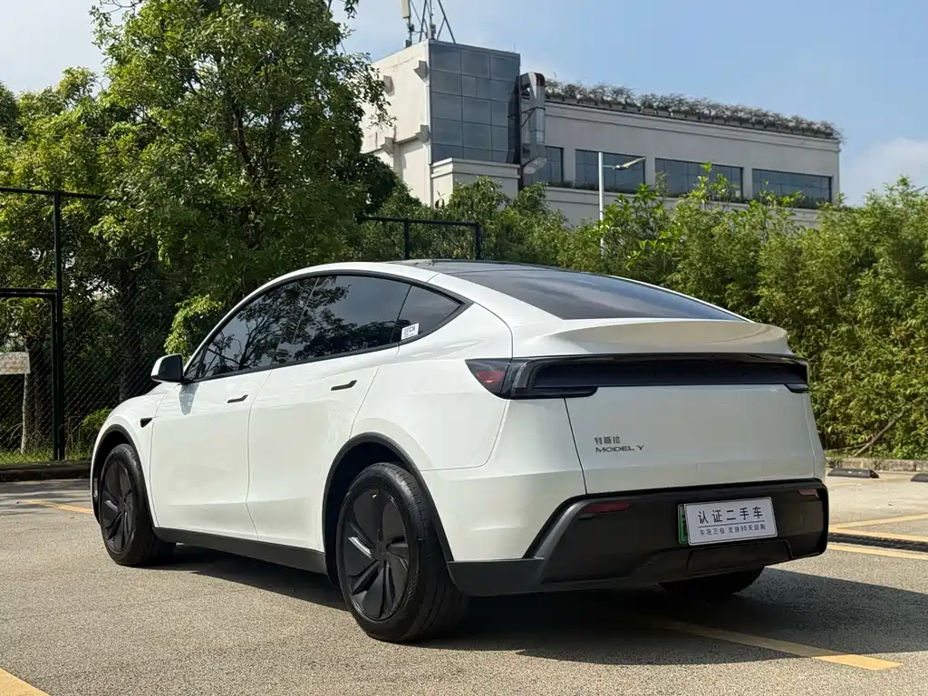 Tesla Model Y — миниатюра 12