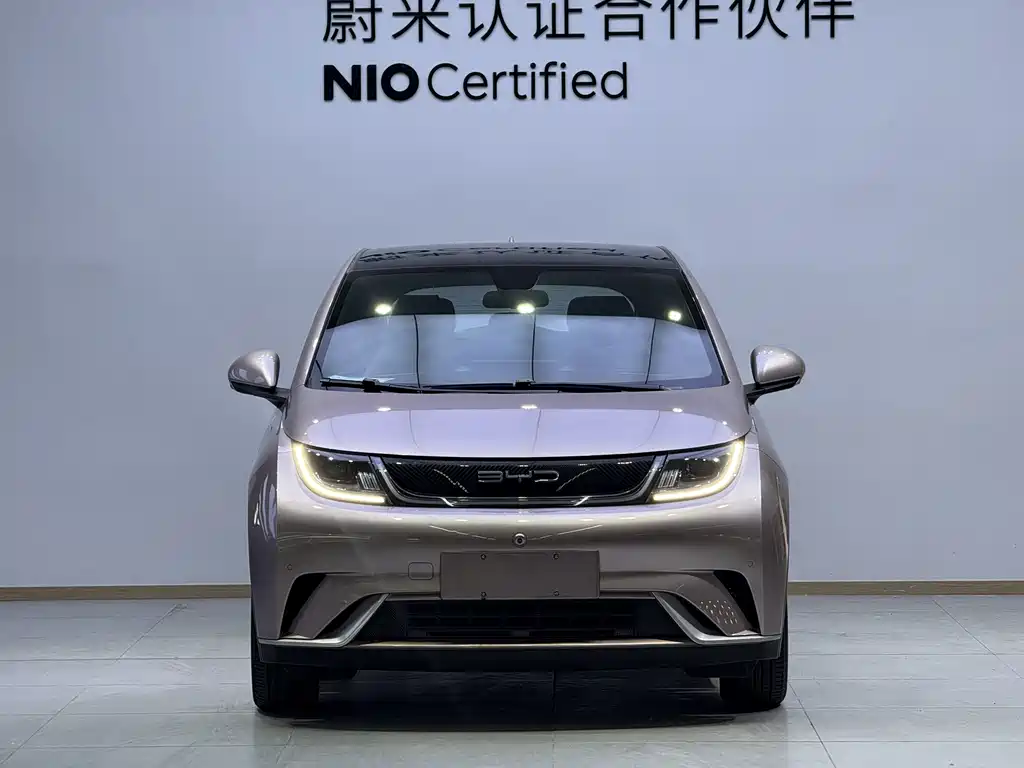 BYD Dolphin — миниатюра 3
