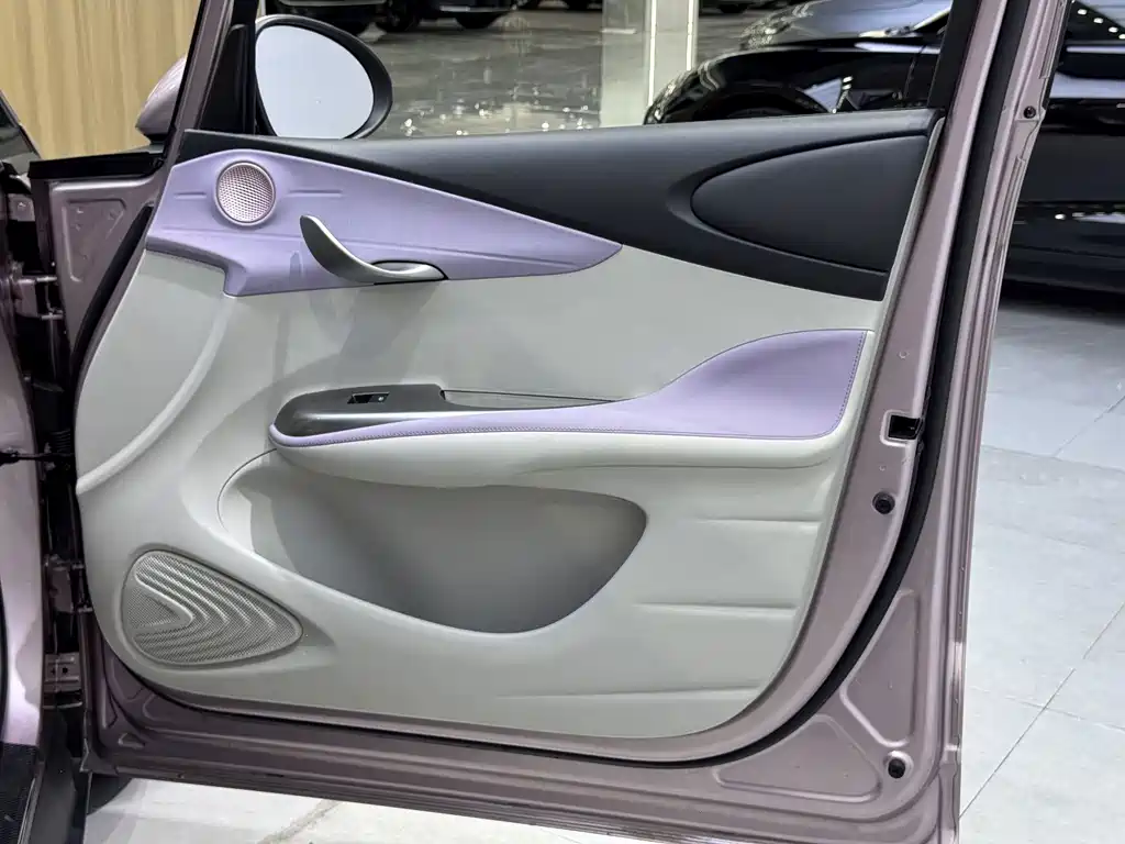 BYD Dolphin — миниатюра 13