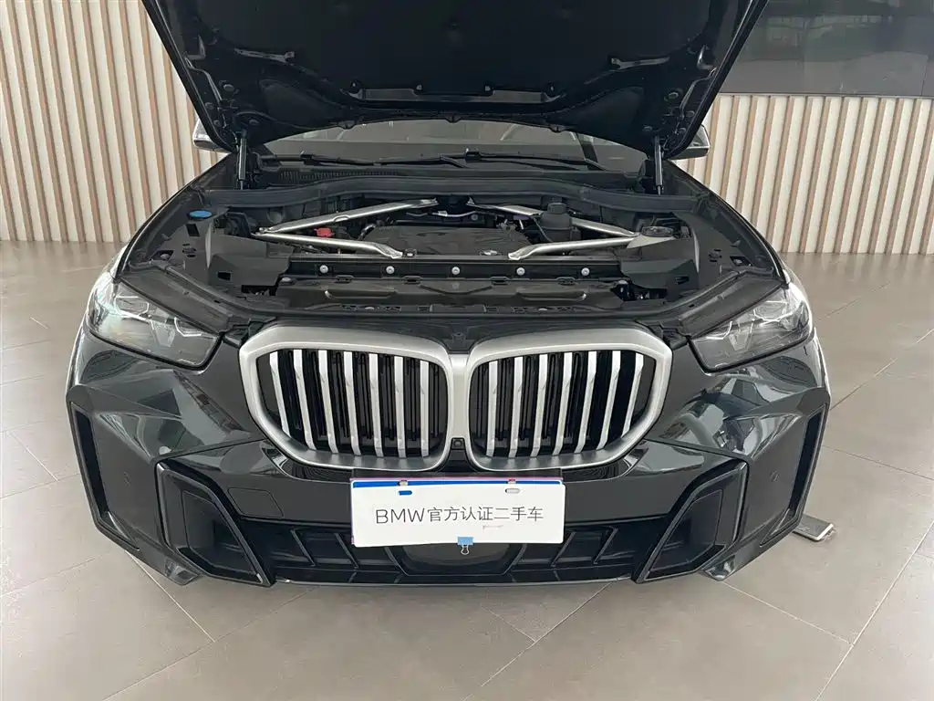BMW X5 — миниатюра 7