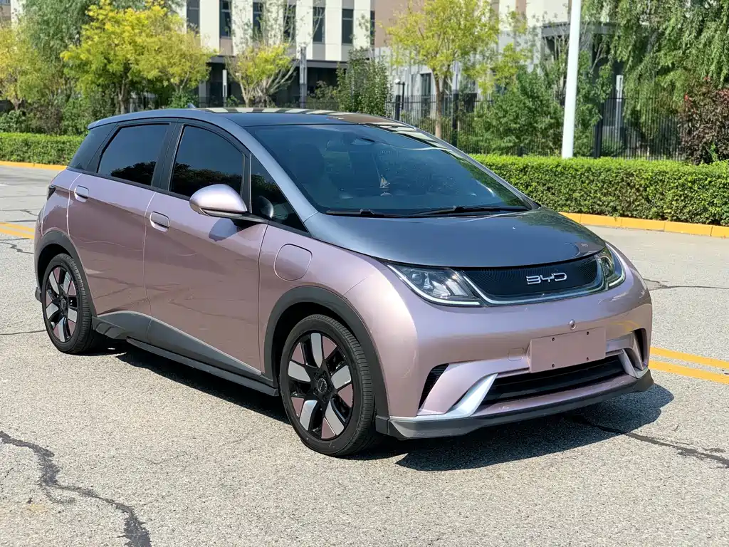 BYD Dolphin — миниатюра 3