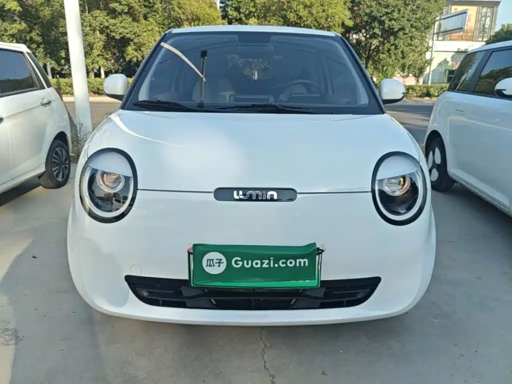 Qiyuan Lumin — миниатюра 3
