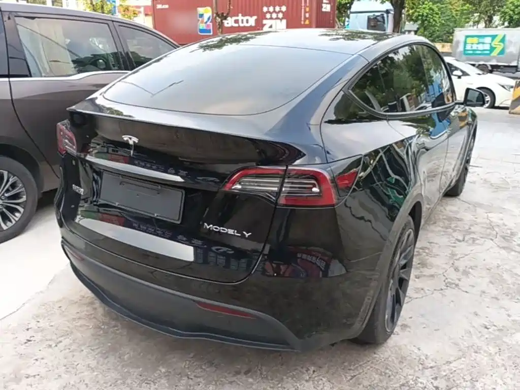 Tesla Model Y — миниатюра 7