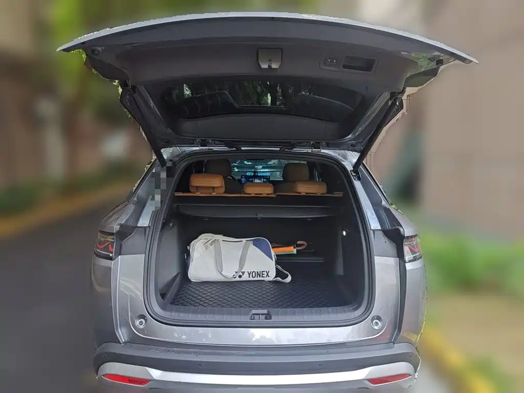 BYD L DM-i — миниатюра 15