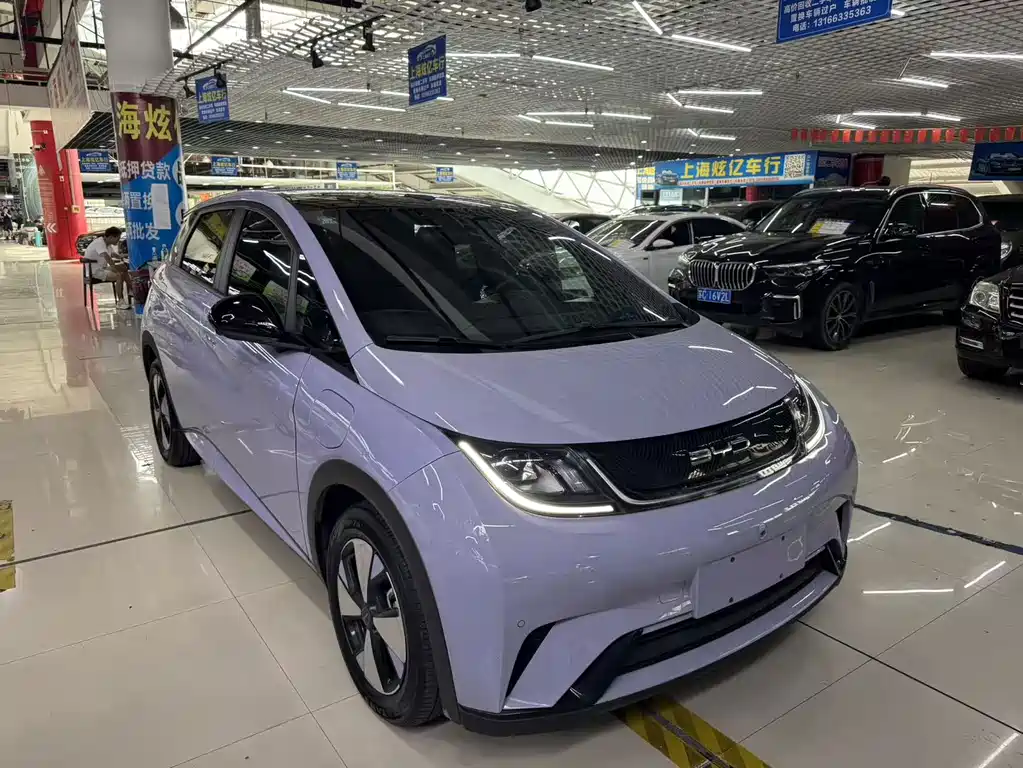 BYD Dolphin — миниатюра 3